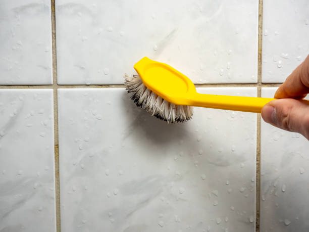 Best Toxic Mold Removal  in Ceresco, NE